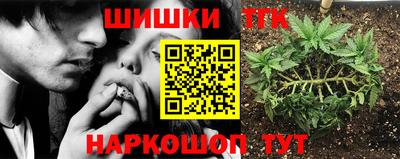 мдпв Кимры