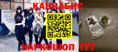 сатива Кингисепп
