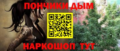 сатива Кингисепп